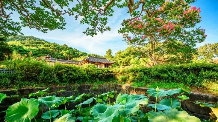 논산 명재고택 연못 / 사진=한국관광콘텐츠랩