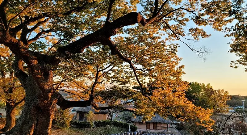 명재고택 상세이미지5