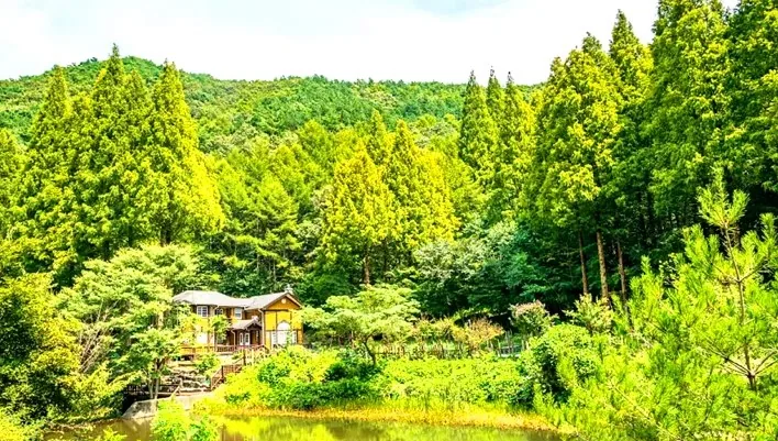 온빛자연휴양림 모습 / 사진=논산문화관광