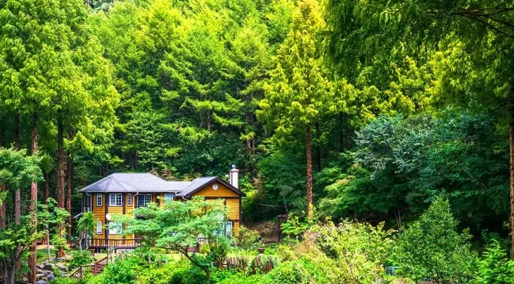 논산 온빛자연휴양림 풍경 / 사진=논산문화관광