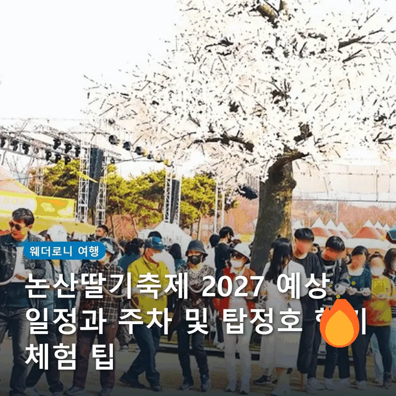논산딸기축제 2027 예상 일정과 주차 및 탑정호 헬기 체험 팁