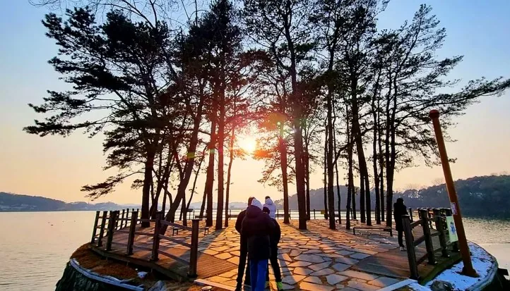 소나무 섬 / 사진= 논산시 공식 블로그 김순동