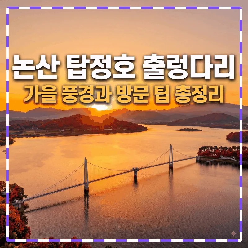 논산 탑정호 출렁다리 가을 풍경과 방문 팁 총정리