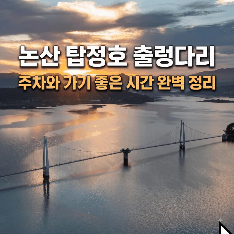 논산 탑정호 출렁다리 주차와 가기 좋은 시간 완벽 정리