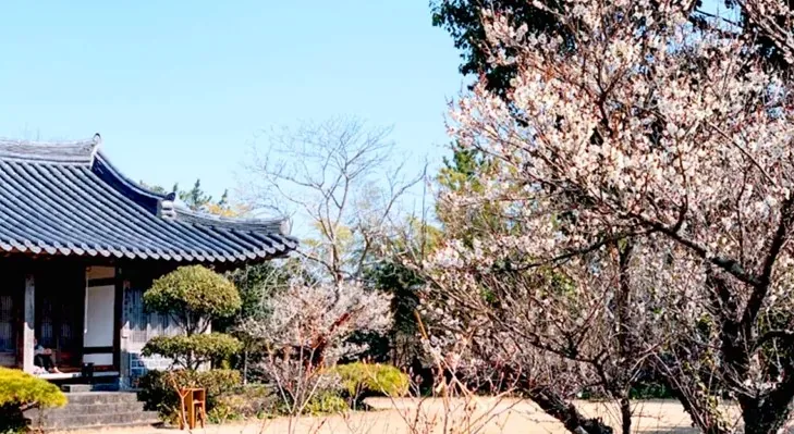 노리매공원 봄 풍경 / 사진=노리매공원