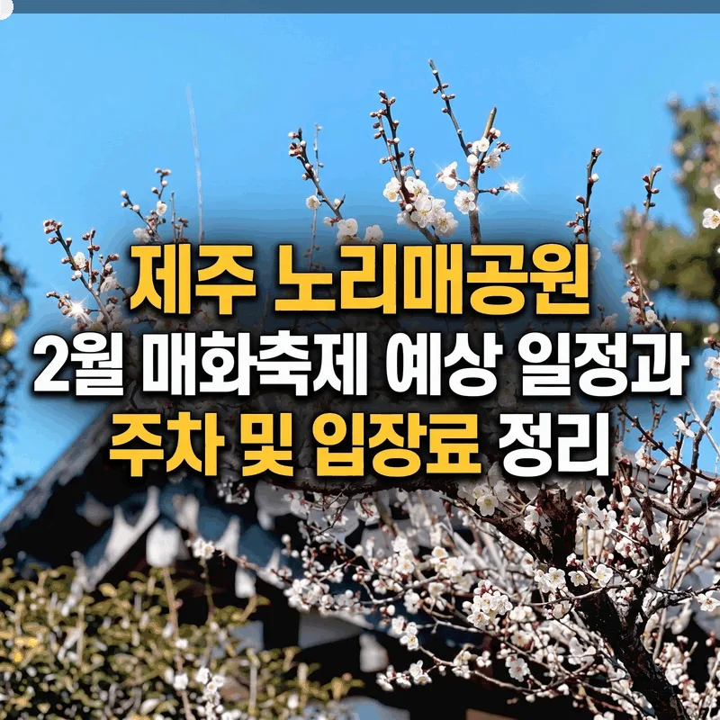 제주 노리매공원 2월 매화축제 예상 일정과 주차 및 입장료 정리