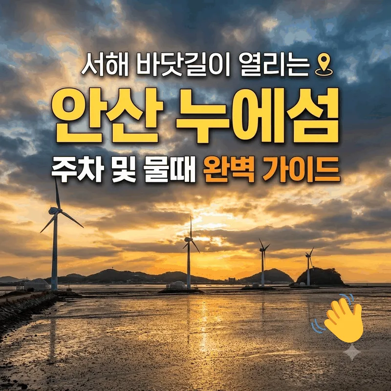서해 바닷길 열리는 안산 누에섬 주차와 가기 좋은 시간 완벽 정리