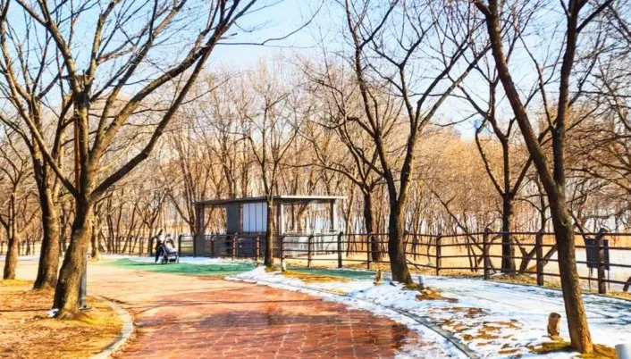 오창호수공원 산책로 / 사진=충청북도 공식 블로그 황은미