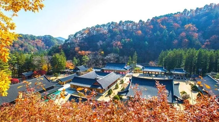 월정사 / 사진=게티이미지뱅크