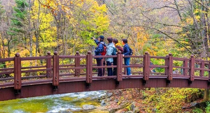 오대산국립공원 트래킹 / 사진=한국관광공사 홍정표