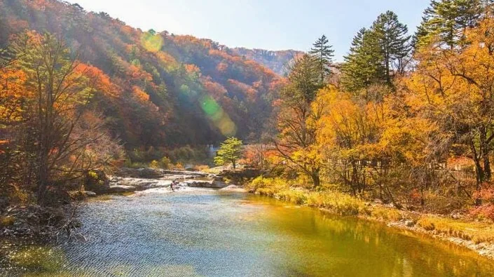 오대산국립공원 풍경 / 사진=게티이미지뱅크