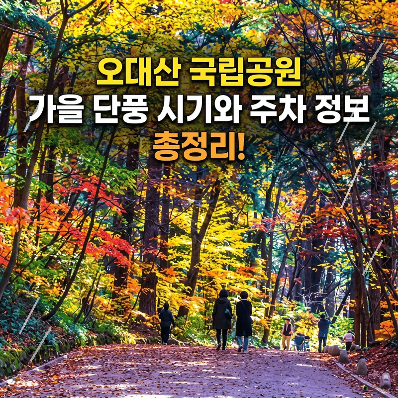 오대산 국립공원 가을 단풍 시기와 주차 정보 총정리