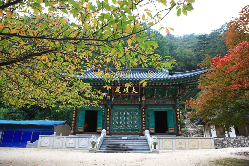 금강사