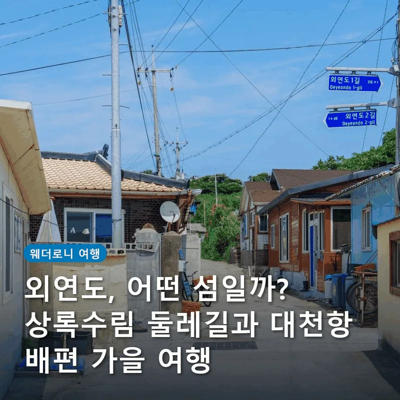 외연도, 어떤 섬일까? 상록수림 둘레길과 대천항 배편 가을 여행