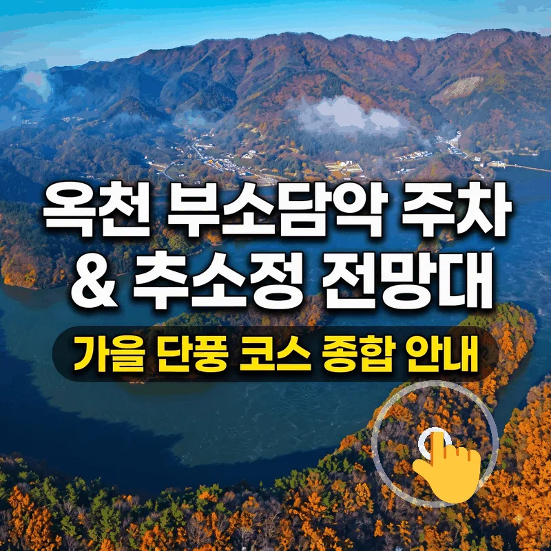 옥천 부소담악 주차와 추소정 전망대, 가을 단풍 코스 총정리