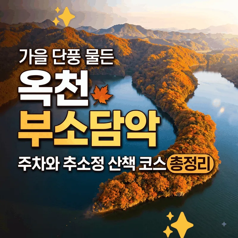 가을 단풍 물든 옥천 부소담악 주차와 추소정 산책 코스 총정리