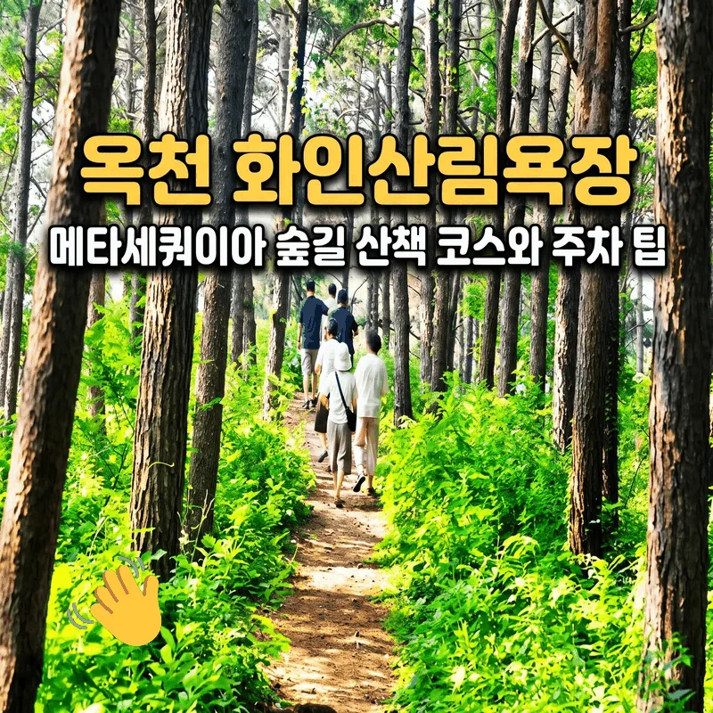 옥천 화인산림욕장 메타세쿼이아 숲길 산책 코스와 주차 팁