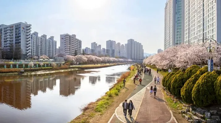 부산 온천천 모습 / 사진=게티이미지뱅크