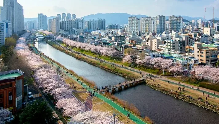 부산 온천천 원경 / 사진=게티이미지뱅크