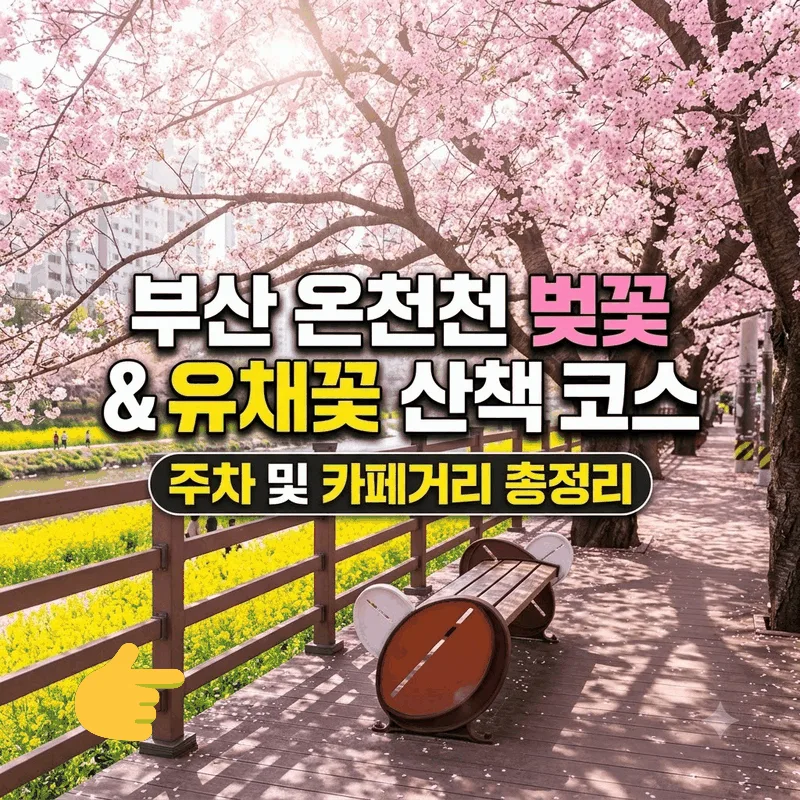부산 온천천 벚꽃 유채꽃 산책 코스 주차와 카페거리 총정리