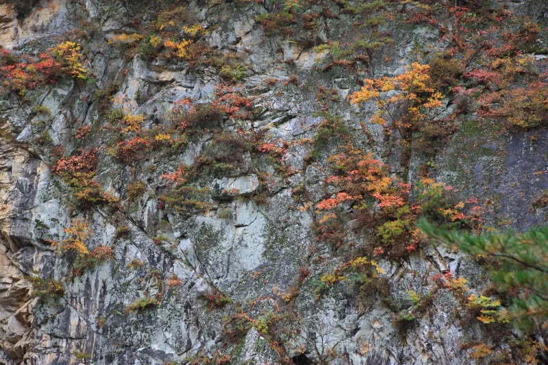 설악산국립공원
