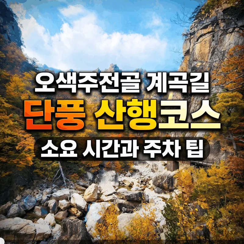 오색주전골 계곡길 단풍 산행 코스 소요 시간과 주차 팁
