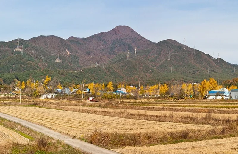 오서산 상세이미지3