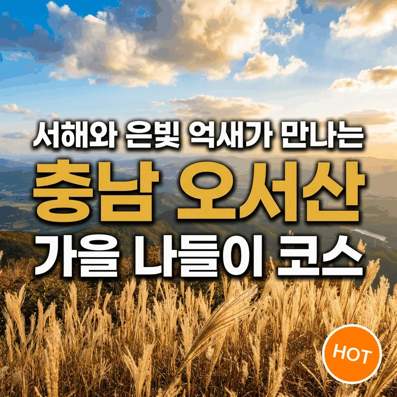 서해 바다와 은빛 억새가 만나는 충남 오서산 가을 나들이 코스