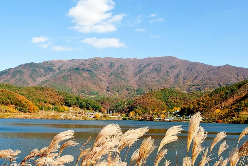 오서산 상세이미지4