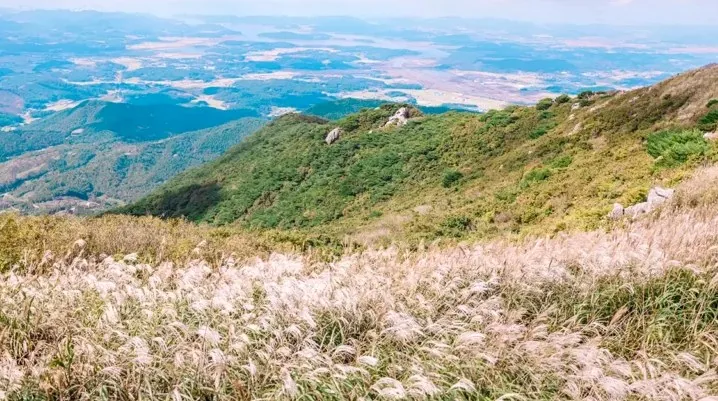 오서산 가을 억새 / 사진=홍성 공식블로그 이진희