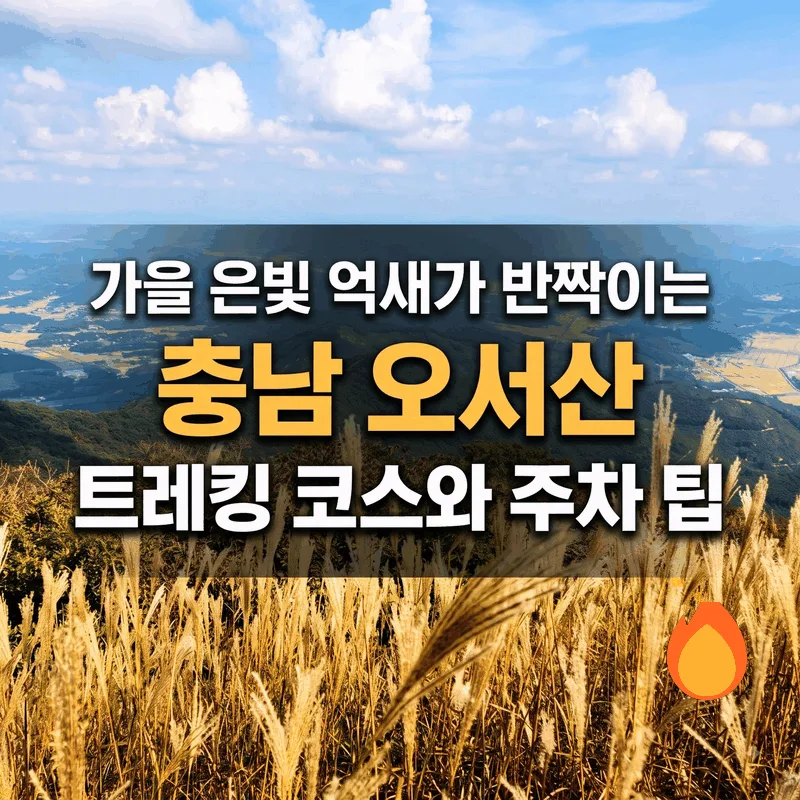 가을 은빛 억새가 반짝이는 충남 오서산 트레킹 코스와 주차 팁