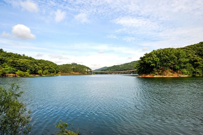 마장호수 출렁다리
