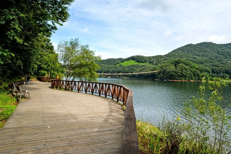 마장호수 출렁다리