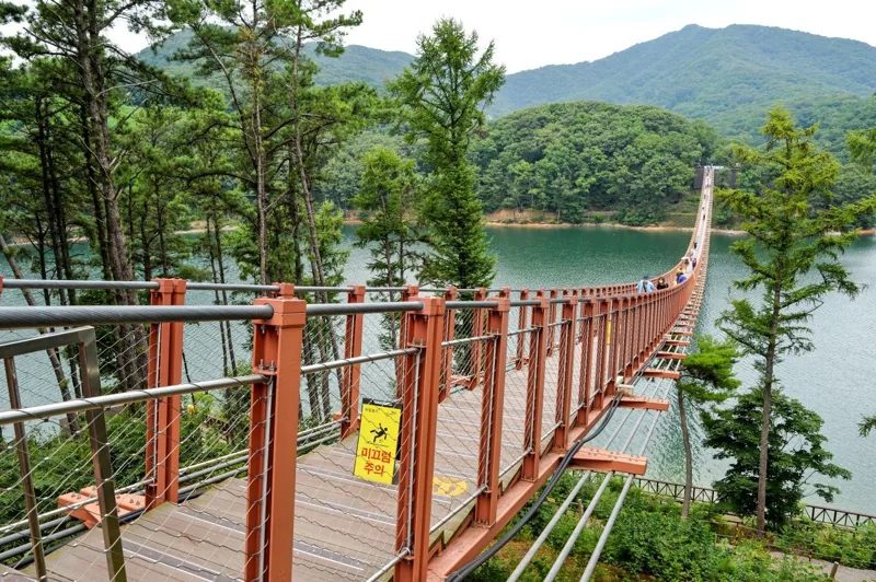 마장호수 출렁다리