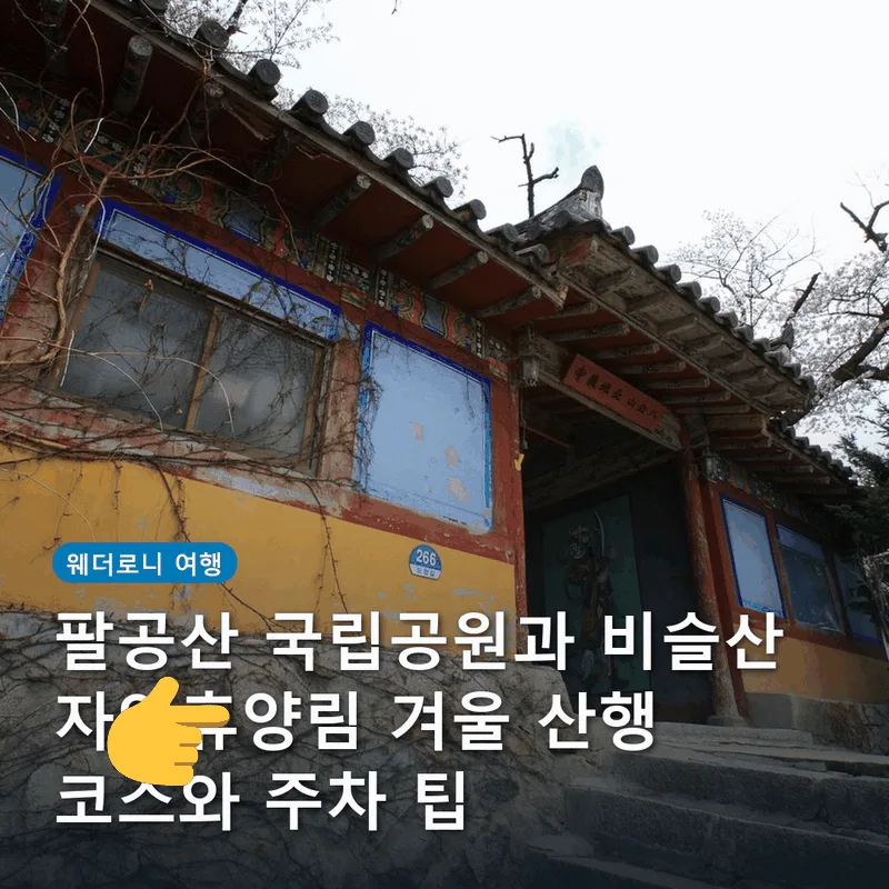팔공산 국립공원과 비슬산 자연휴양림 겨울 산행 코스와 주차 팁
