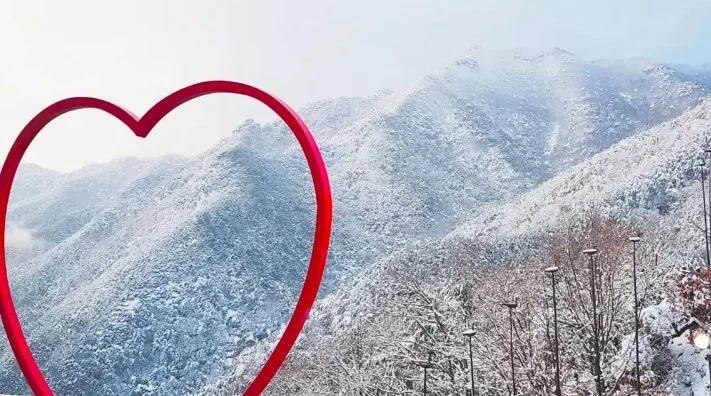 팔공산 설경 / 사진=팔공산 케이블카 공식 블로그