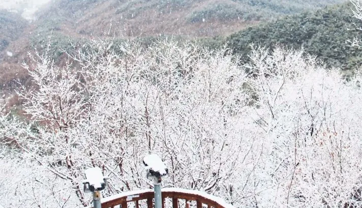 팔공산 전망대 / 사진=팔공산 케이블카 공식 블로그