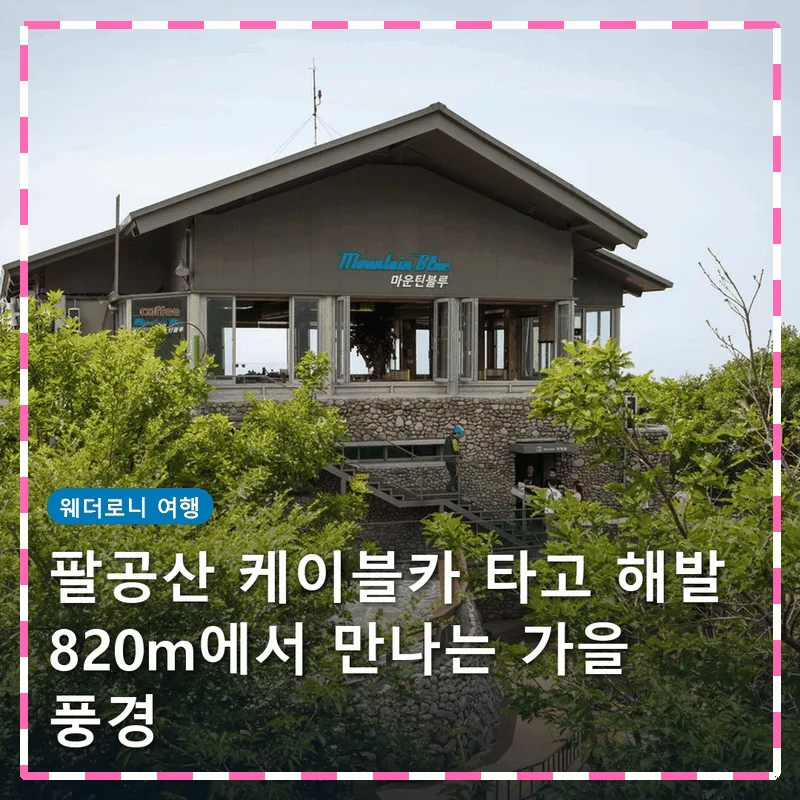 팔공산 케이블카 타고 해발 820m에서 만나는 가을 풍경
