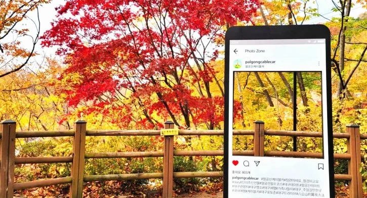 팔공산 포토존 / 사진=대구광역시 공식 블로그 이수이