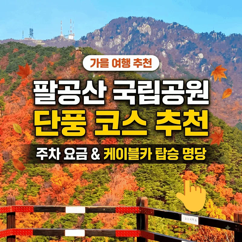 팔공산국립공원 단풍 코스 추천 주차 요금 및 케이블카 가기 좋은 시간