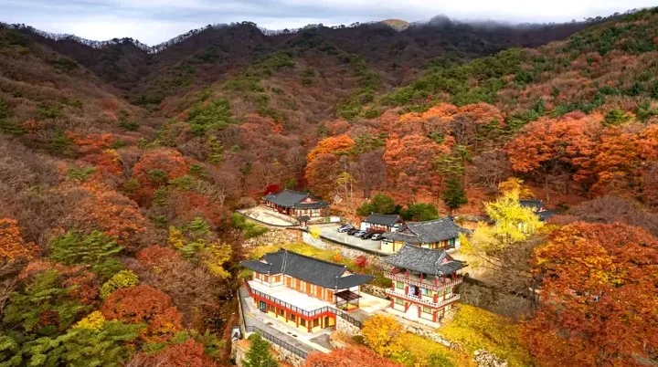 팔공산 가을 전경 / 사진=ⓒ한국관광공사 앙지뉴 필름