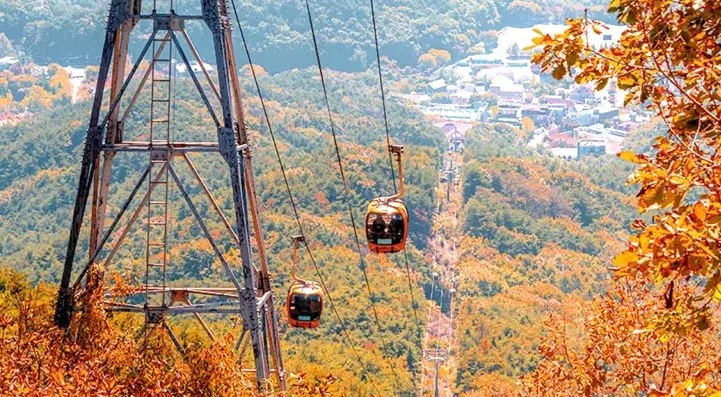 팔공산 케이블카 / 사진=대구광역시 공식 블로그