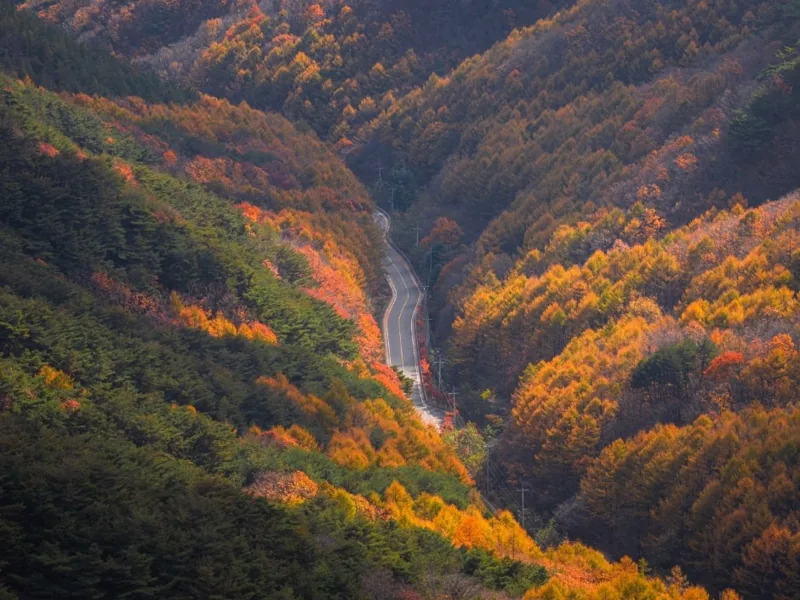 팔공산국립공원(갓바위지구)