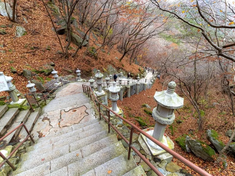 팔공산국립공원(갓바위지구)