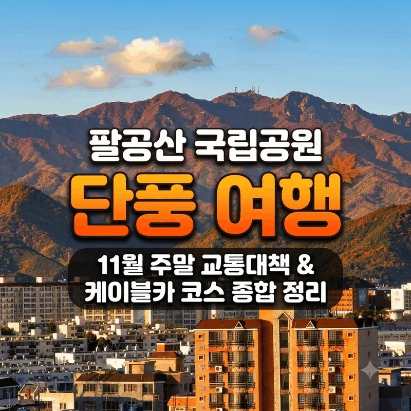 팔공산국립공원 단풍 여행 11월 주말 교통 대책과 케이블카 코스 총정리