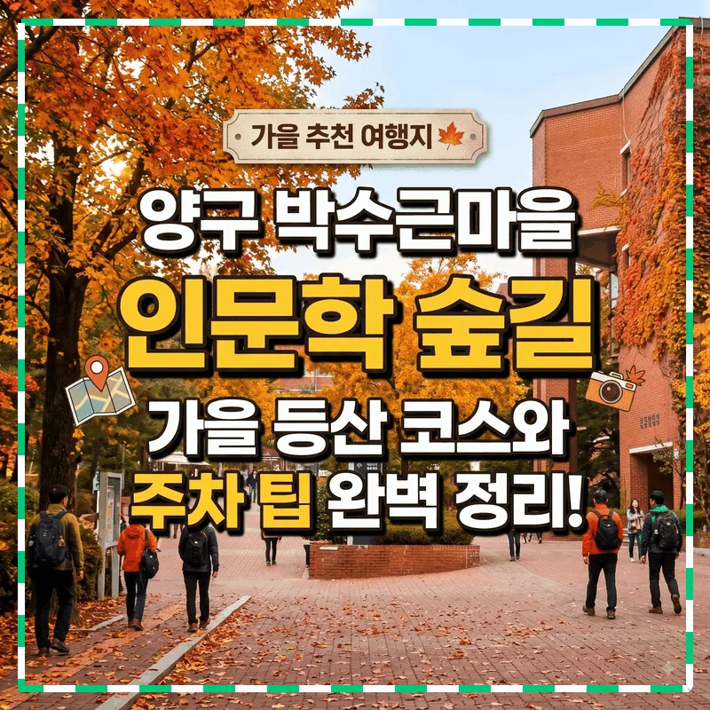 양구 박수근마을 인문학 숲길 가을 등산 코스와 주차 팁 완벽 정리