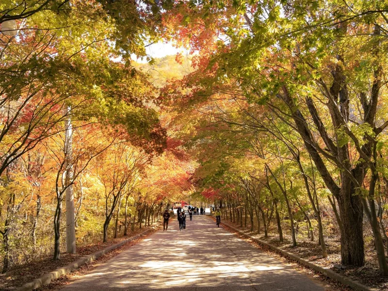 필례약수