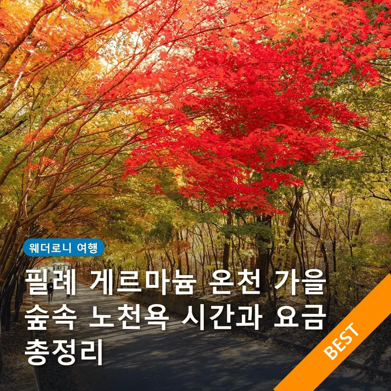 필례 게르마늄 온천 가을 숲속 노천욕 시간과 요금 총정리
