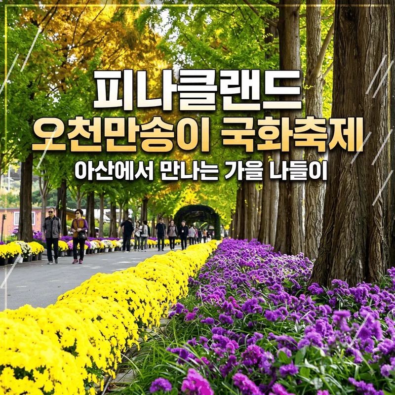 피나클랜드 오천만송이 국화축제, 아산에서 만나는 가을 나들이
