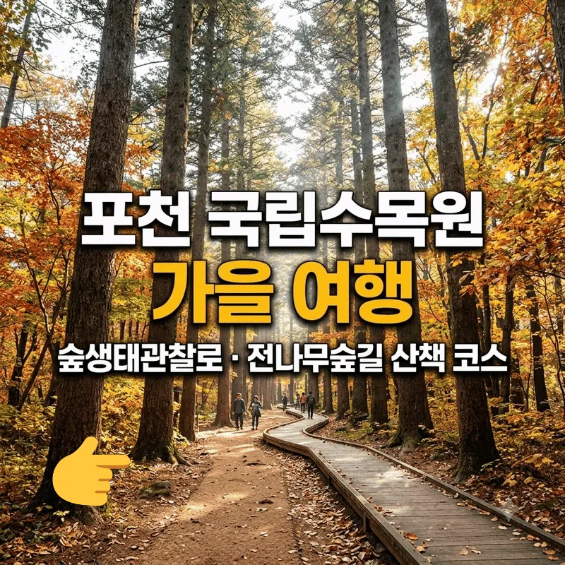 포천 국립수목원 가을 여행 숲생태관찰로 전나무숲길 산책 코스